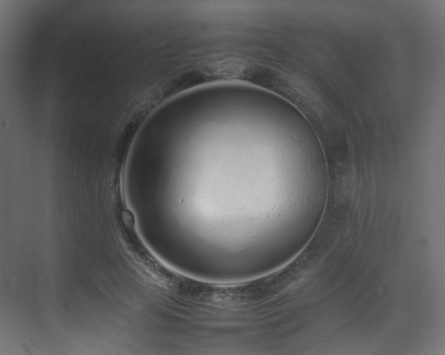 X0000075330641200609081058