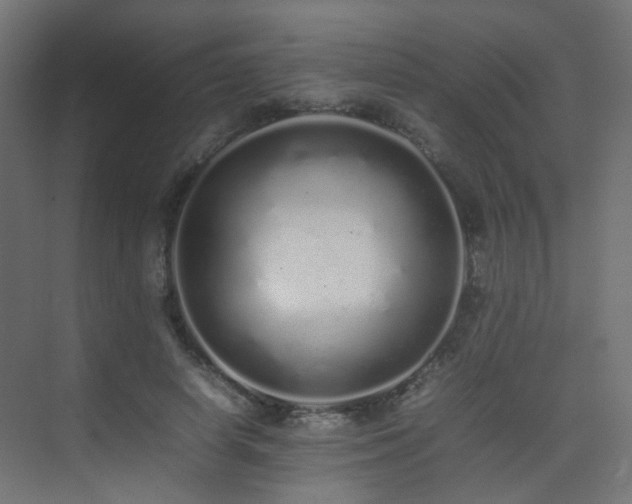 X0000075330642200609081058