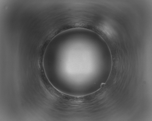 X0000075330643200609081058