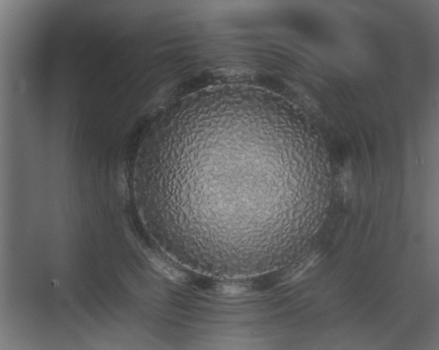 X0000075330662200609081059