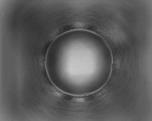 X0000075330665200609081059