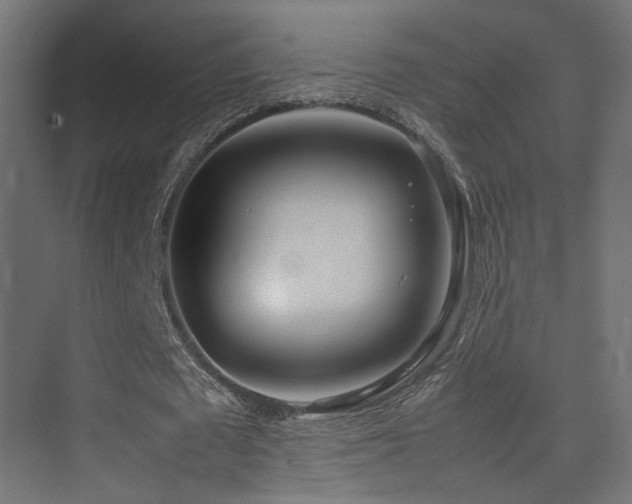 X0000075330673200609081058