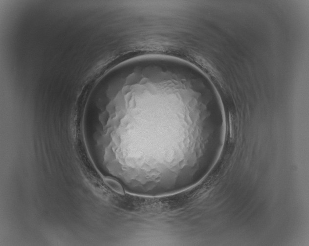 X0000075330675200609081058