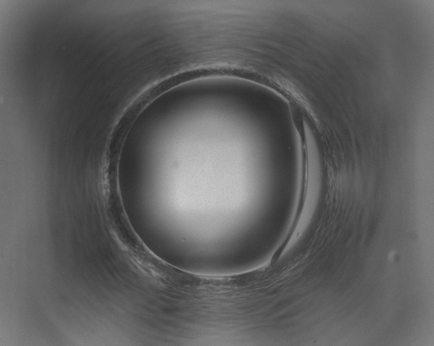 X0000075330676200609081058