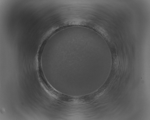 X0000075330678200609081058