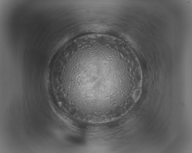 X0000075330679200609081058
