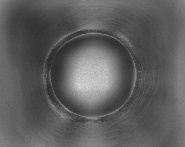 X0000075330680200609081058