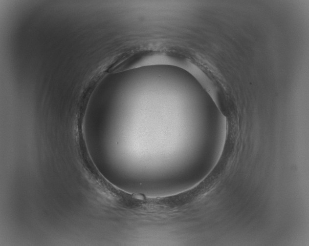 X0000075330681200609081058