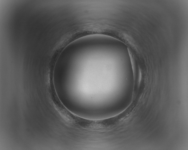 X0000075330685200609081058