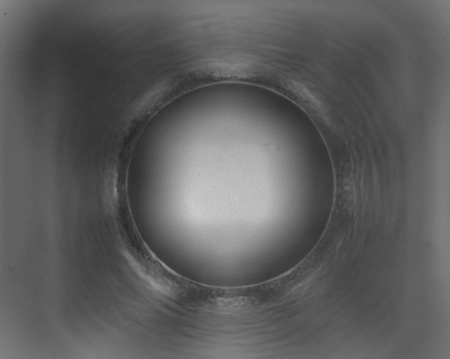 X0000075330686200609081058