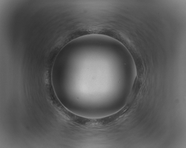 X0000075330689200609081058
