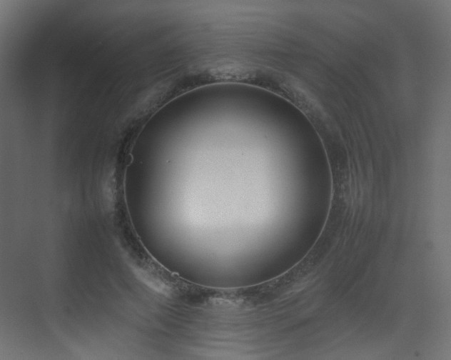 X0000075330690200609081058