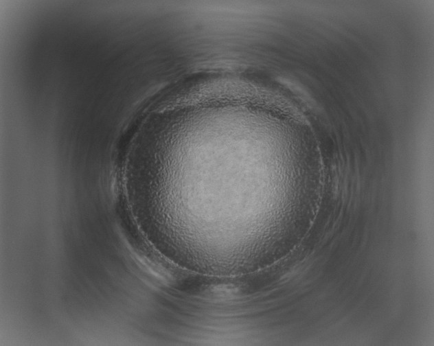 X0000075330692200609081058