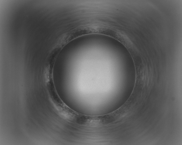 X0000075330694200609081058