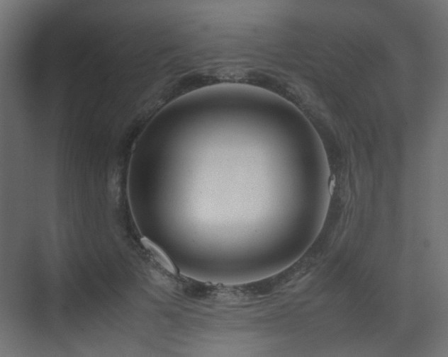 X0000075330697200609081058