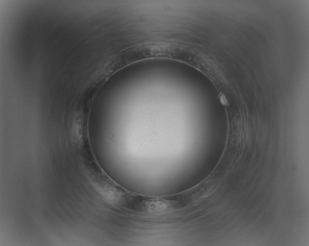 X0000075330698200609081058