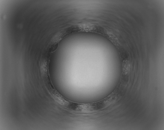 X0000075330713200609081057