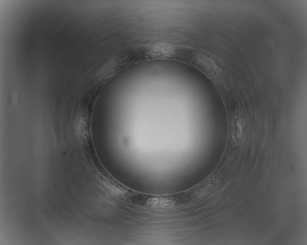X0000075330714200609081057