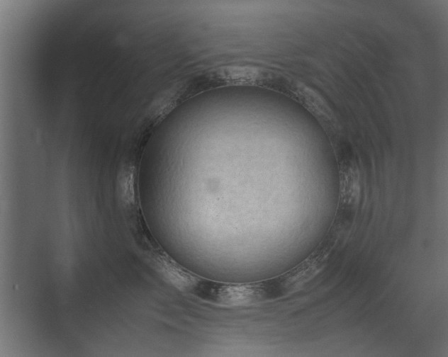 X0000075330717200609081057