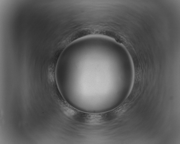 X0000075330719200609081057