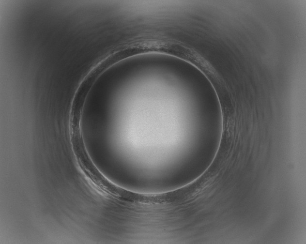 X0000075330722200609081057