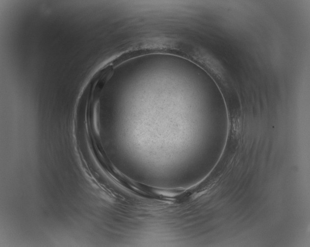 X0000075330724200609081057