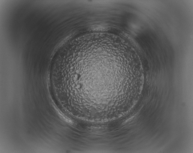 X0000075330725200609081057