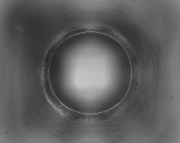X0000075330730200609081057