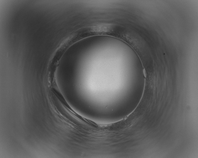 X0000075330731200609081057