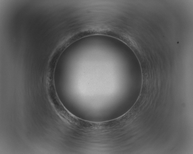 X0000075330736200609081057