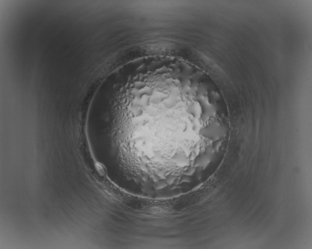 X0000075330737200609081057
