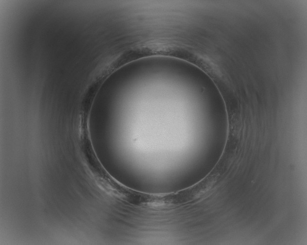 X0000075330740200609081057