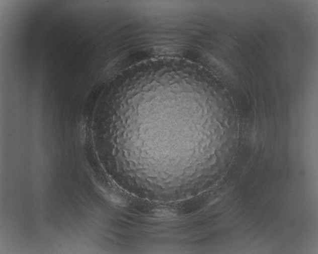X0000075330741200609081057