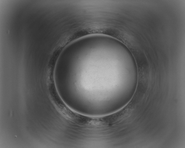 X0000075330742200609081057