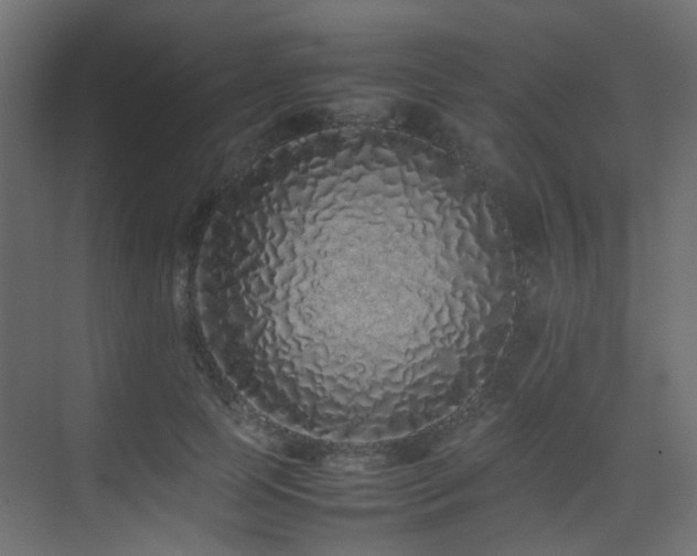 X0000075330745200609081057