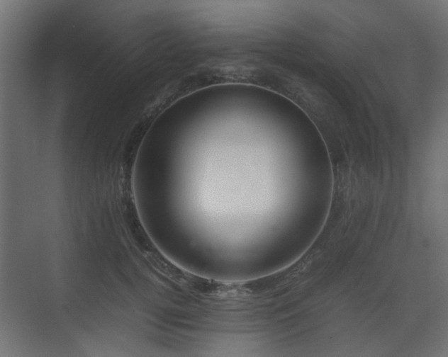 X0000075330752200609081057