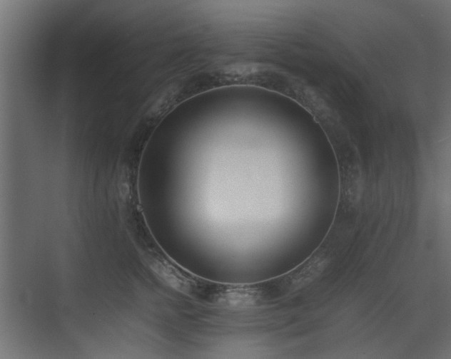 X0000075330758200609081057