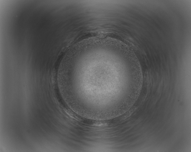 X0000075330760200609081057