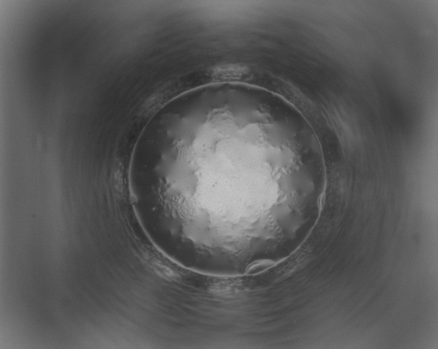 X0000075330761200609081057