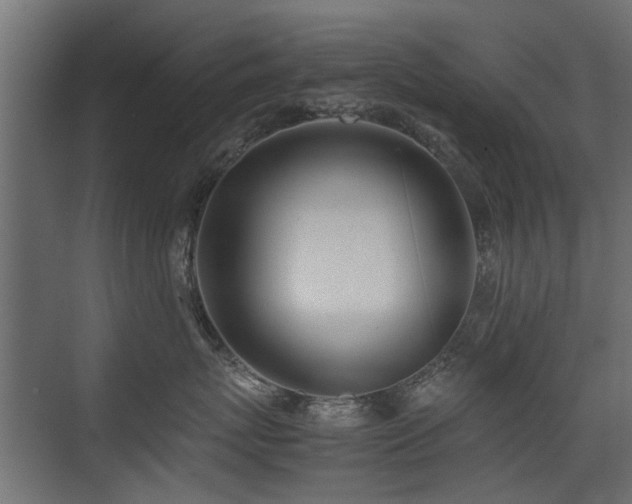 X0000075330767200609081057