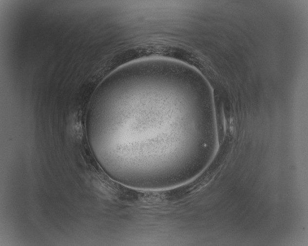 X0000075330771200609081057