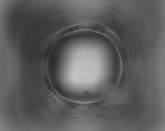 X0000075330773200609081056