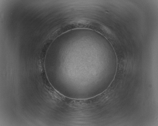 X0000075330774200609081056