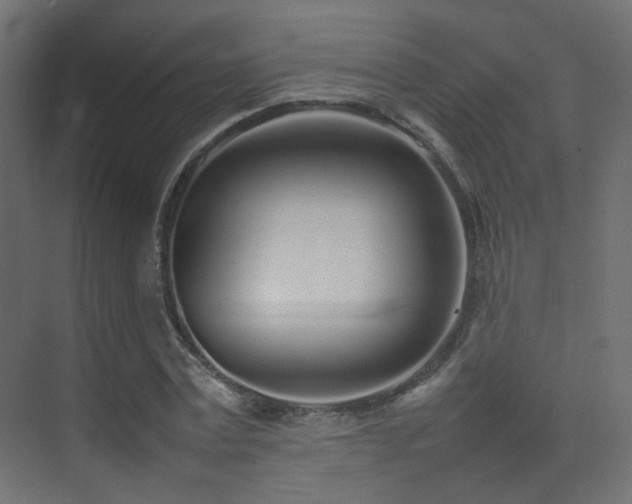 X0000075330779200609081056