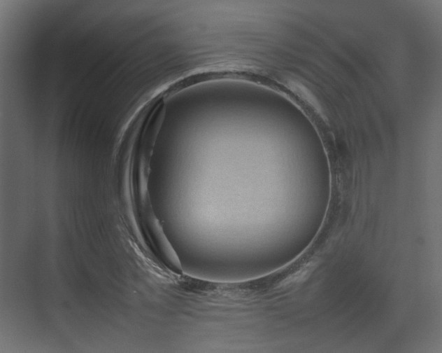 X0000075330781200609081056