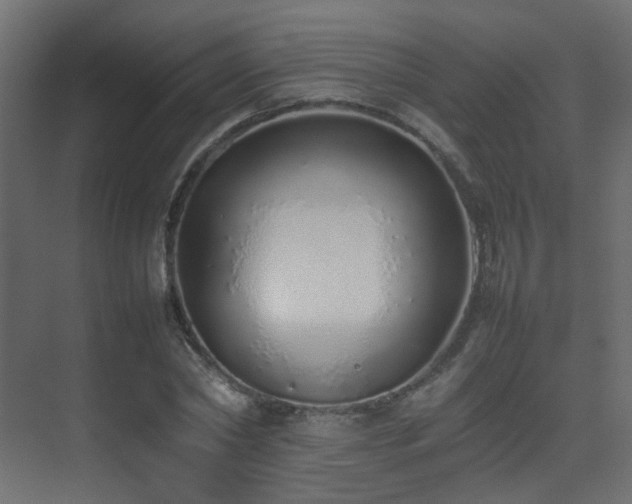 X0000075330782200609081056