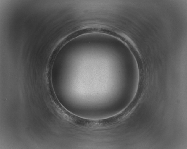 X0000075330783200609081056