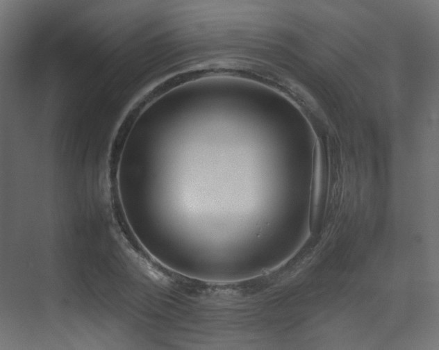 X0000075330784200609081056