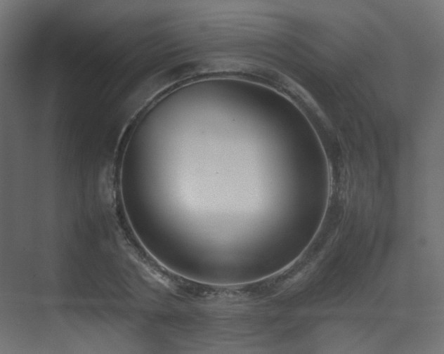 X0000075330786200609081056