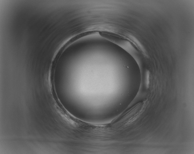X0000075330788200609081056